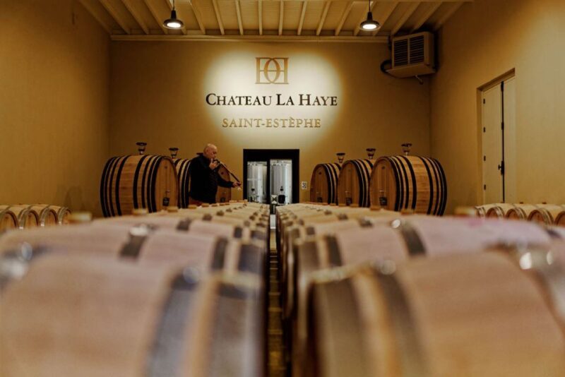 Medoc Tour : Margaux, Saint Estèphe and greediness - Who Would Enjoy This Tour Most?