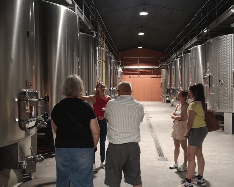 Médoc wine tour from Bordeaux: 2 wineries & 6 wines - Key Points