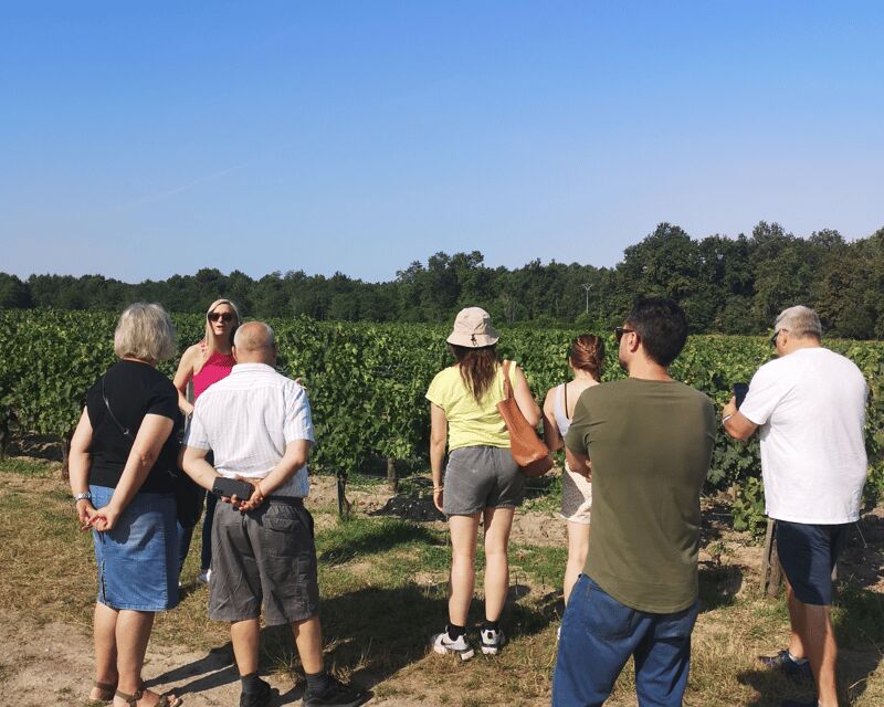 Médoc wine tour from Bordeaux: 2 wineries & 6 wines - An In-Depth Look at the Médoc Wine Tour