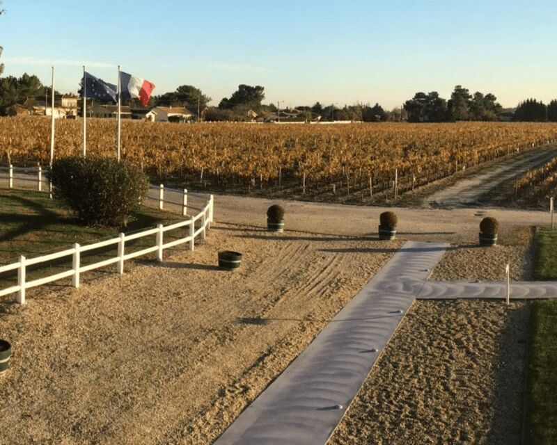 Médoc wine tour from Bordeaux: 2 wineries & 6 wines - Potential Drawbacks or Considerations