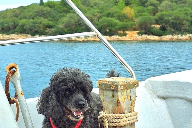 Medulin: Private Sunset Boat Cruise with Wine Tasting - Final Thoughts