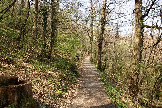 Medvednica Hiking and Chestnuts Picking Tour from Zagreb - Key Points