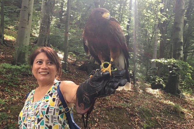 Medvednica Nature Park Falconry Tour from Zagreb - Key Points