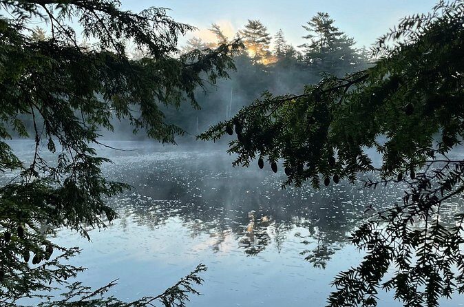 Medway Lakes Canoe Trip 3-Day - The Experience and the Value