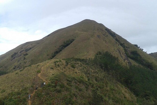 Meesapulimala Sunrise trek( By Munnar Info) - The Complete Picture: What to Expect from the Meesapulimala Sunrise Trek