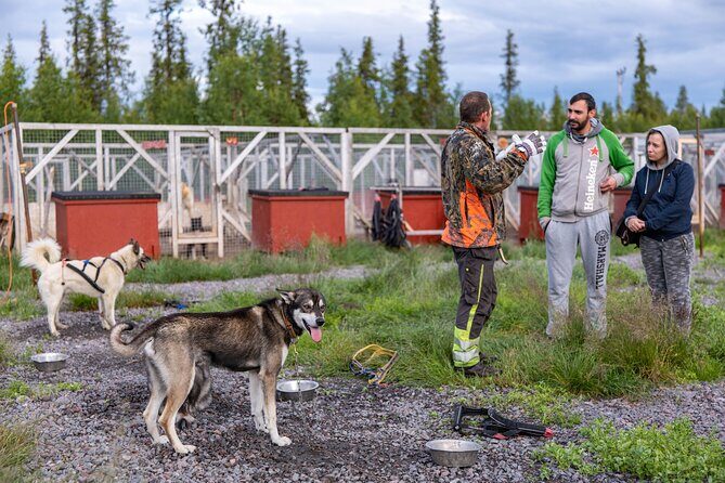 Meet 70 Huskies and Enjoy a short ATV Tour with the Huskies - The Value of the Experience