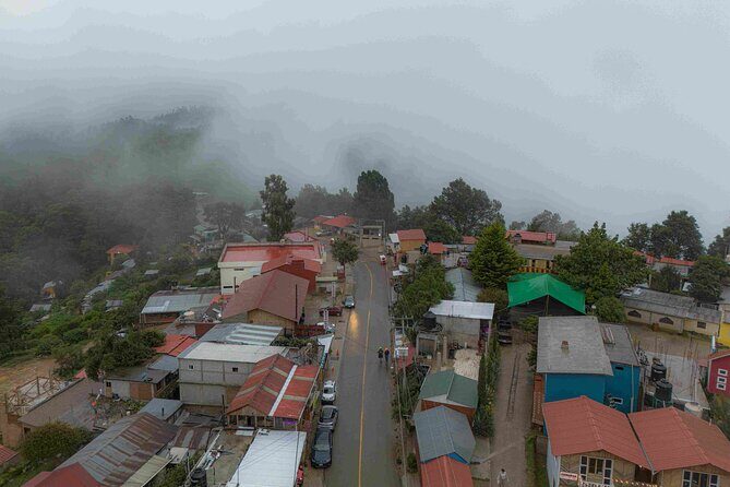 Meet San Jose del Pacífico in one day - The Itinerary in Detail