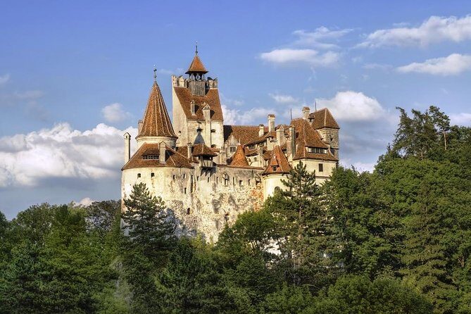 Meet the Bears & Visit Dracula Castle Day Tour from Bucharest - Practical Details and Travel Experience