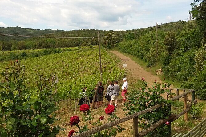 Meet the king of the territory: Brunello di Montalcino - Meet the king of the territory: Brunello di Montalcino — a detailed review