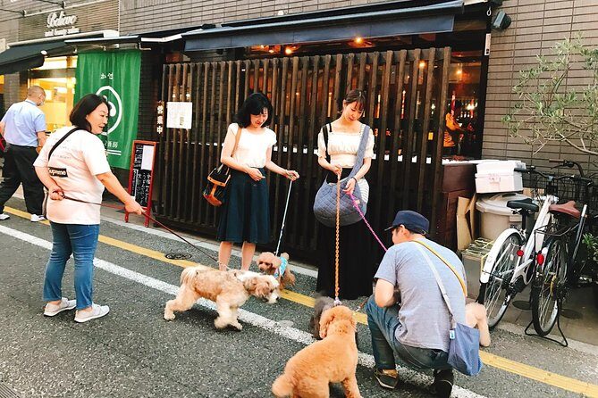 Meet the lucky cats in suburban Tokyo: Gotokuji Walking Tour - Key Points