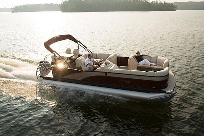 Meet The Seals Boat Tour - Travel by boat to a Secret Seal Cove - Who Will Love This Tour?