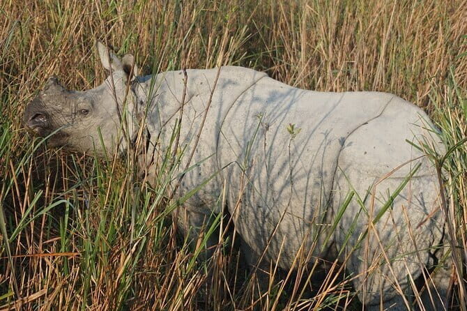 Meghalaya With Kaziranga - Discover the Beauty of Meghalaya and Kaziranga in One Day