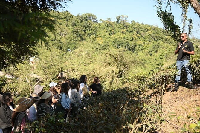 Meghalaya With Kaziranga - FAQ