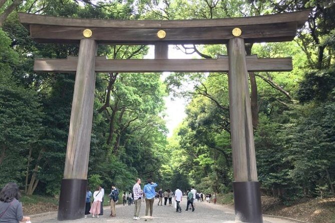 Meiji Jingu Shrine Half-day Tour by public transportation - Who Should Book This Tour?