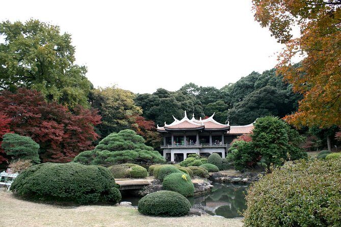 Meiji Jingu Shrine Half-day Tour by public transportation - FAQ