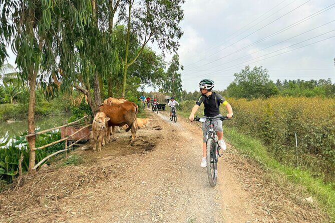 Mekong Delta 2 days 1 nights Cycling Trip - Who Will Love This Tour?