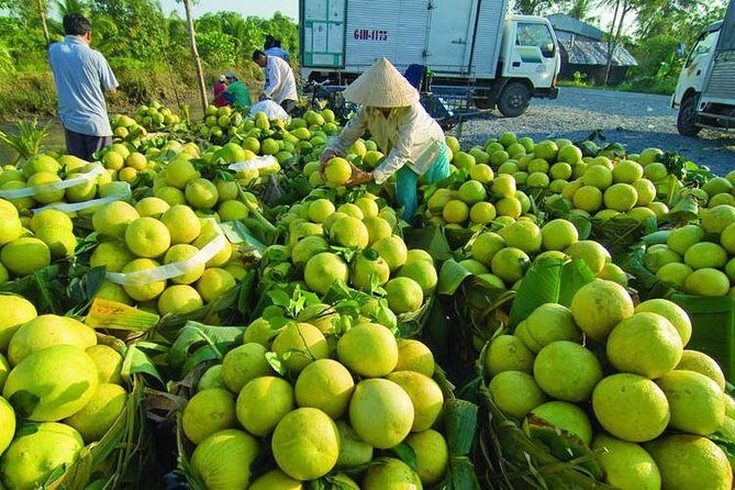 Mekong Delta 2Day Tour: Cai Rang Floating Market, My Tho, Can Tho - The Complete Breakdown of the 2-Day Mekong Delta Tour