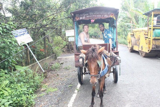 Mekong Delta Adventure by Private Car from Phu My Port - The Sum Up