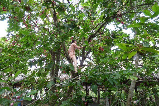 Mekong Delta exploring full day Trip - Starting the Day: Seamless Pickup and Early Departure