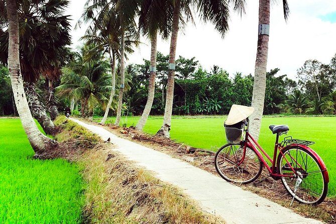 Mekong Delta Guided Tour from Ho Chi Minh City - Food, Music, and Cultural Touches