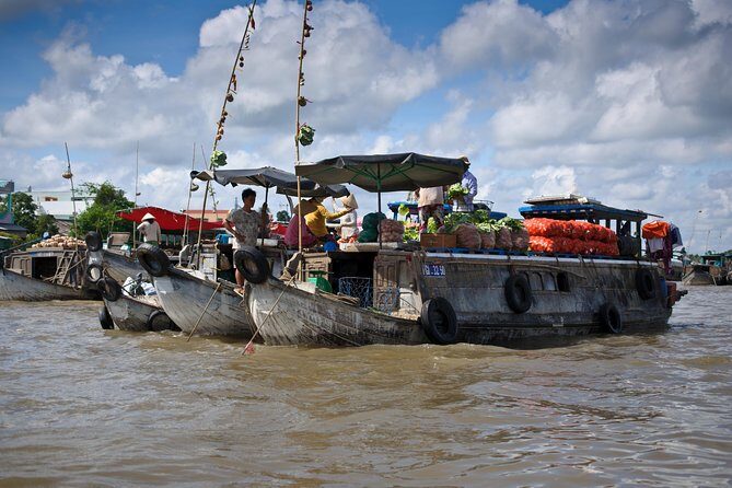 Mekong Delta Private Tour from Ho Chi Minh Ports-Shore Excursion - Key Points