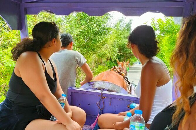 Mekong Delta Tour Daily - Visiting Vinh Trang Pagoda