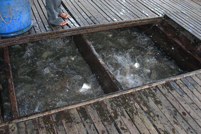 Mekong Delta Tours 3days - CaiBe Vinh Long ChauDoc CanTho - The Sum Up