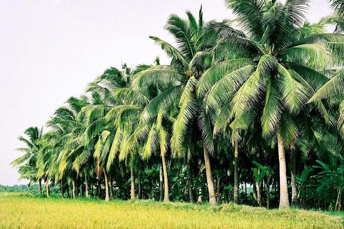 Mekong Delta with Floating Market 2 Days - A Close Look at the Itinerary: What You Can Expect