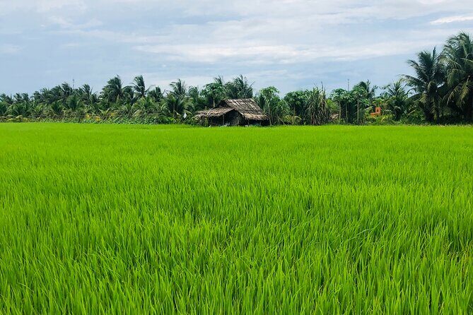 Mekong with biking private tour - Final Thoughts: Is this Tour Worth It?