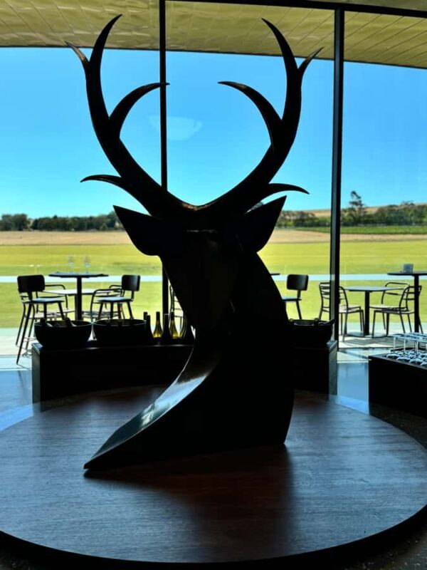 MEL: Private Yarra Valley Wine & Healesville Sanctuary Tours - Practical Details and What to Expect