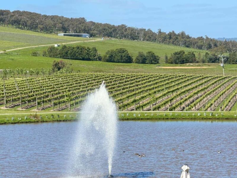 MEL: Private Yarra Valley Wine & Healesville Sanctuary Tours - The Sum Up: Is It Worth It?