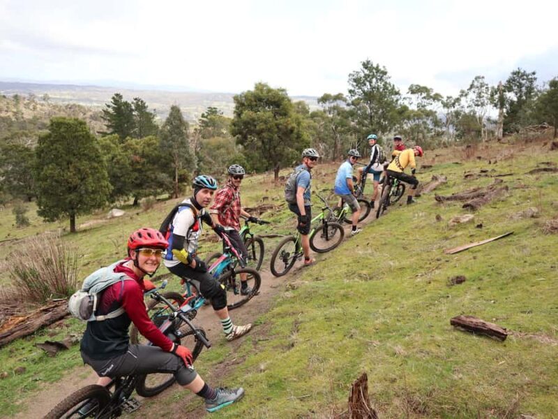 Melbourne: 1-Day Mountain Biking Adventure with Lunch - Key Points