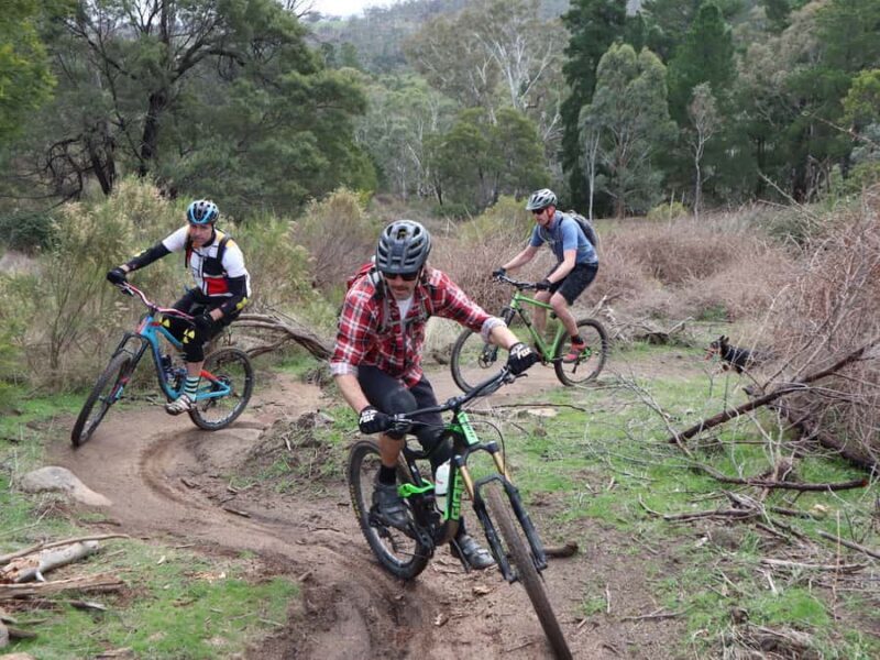 Melbourne: 1-Day Mountain Biking Adventure with Lunch - An In-Depth Look at the Tour Experience