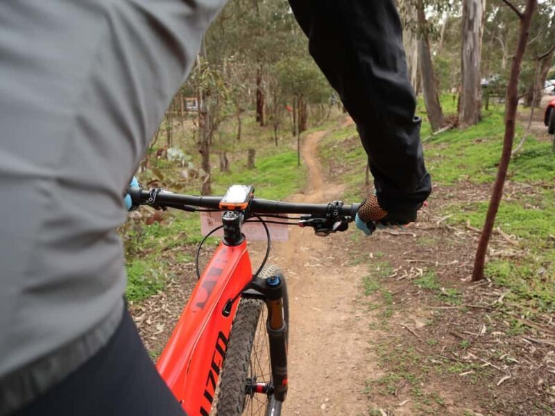 Melbourne: 1-Day Mountain Biking Adventure with Lunch - The Practicalities: What You Need to Know