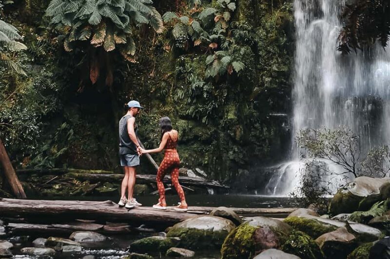 Melbourne: 12 Apostles, Otways & Great Ocean Road Day Tour - Who Should Consider This Tour?