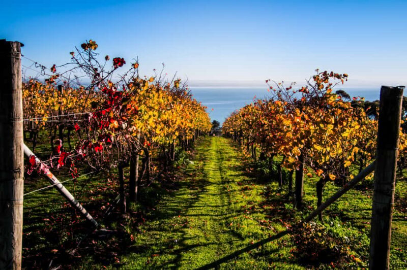 Melbourne: Around the Bay Food & Wine Taste Trail - An Overview of the Itinerary and Its Attractions