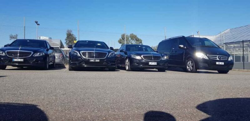 Melbourne CBD Sightseeing Private Tour  Up to 14 travellers - Key Points