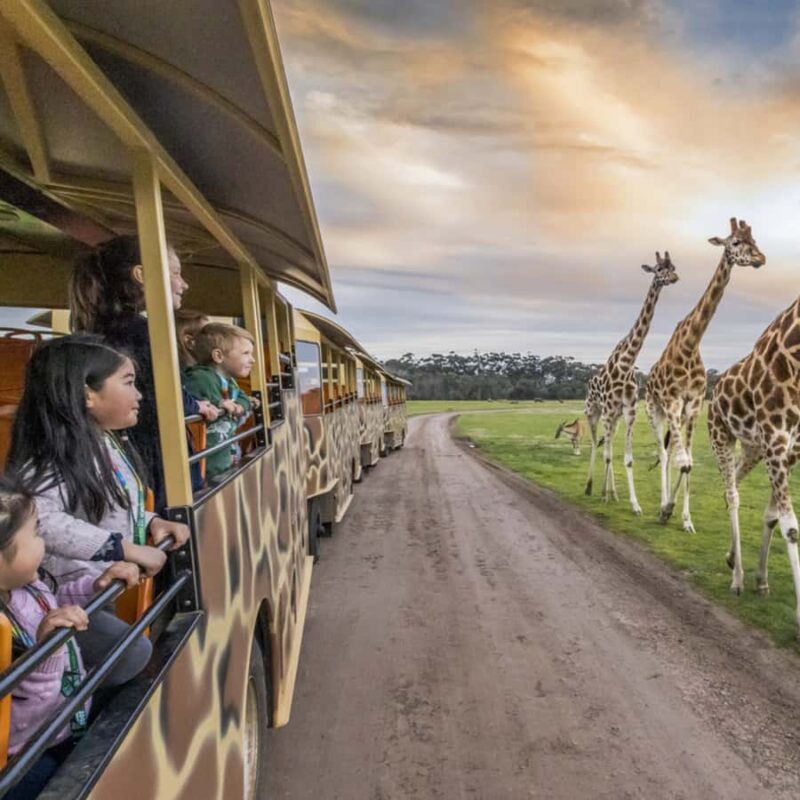 Melbourne City Card - 3 Days - Introduction