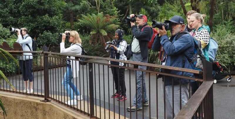 Melbourne City Surrounding Sightseeing Tour - Real Experiences from Reviewers