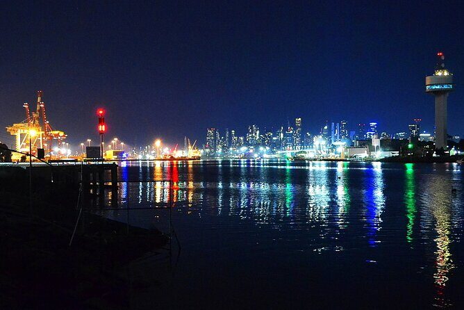 Melbourne Drive by Night - Private Tour - Who Should Consider This Tour?