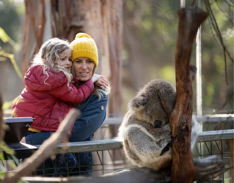 Melbourne: Flexi Pass - Pick 3, 5 or 7 Experiences - The Highlights — What’s Worth Your Time