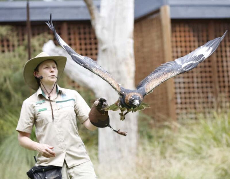 Melbourne: Flexi Pass - Pick 3, 5 or 7 Experiences - The Practicalities — What You Need to Know