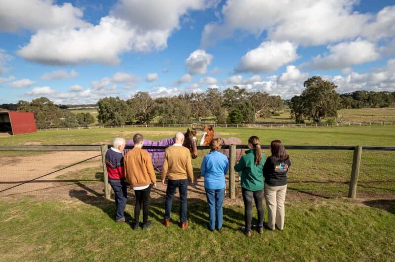 Melbourne: Full-Day Horses, Wine, and Beer Tour - A Practical Overview of the Tour
