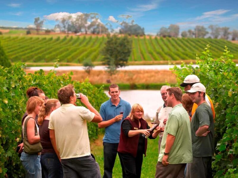 Melbourne: Full-Day Yarra Valley Wine Experience with Lunch - Key Points
