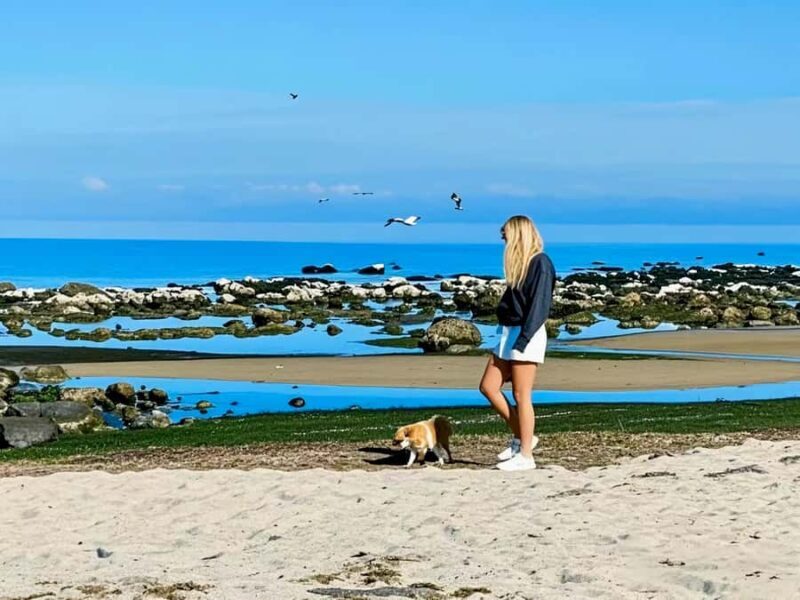 Melbourne Great Ocean Rd Reverse Tour London Bridge Wildlife - The Value for Money