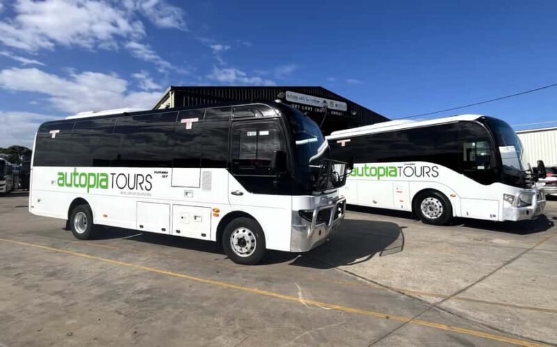 Melbourne: Great Ocean Road, 12 Apostles & Rainforest Tour - Final Thoughts