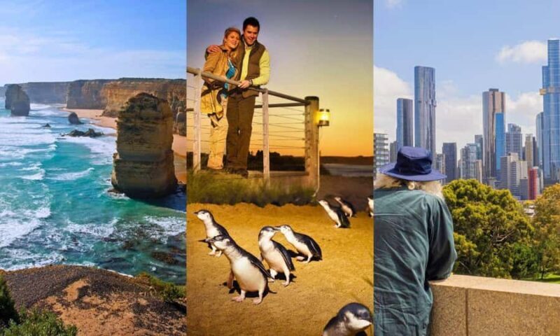 Melbourne: Great Ocean Road, Penguin Parade & Free City Tour - Who Would Love This Tour?