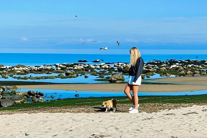 Melbourne Great Ocean Road Reverse Tour + London Bridge wildlife - Key Points