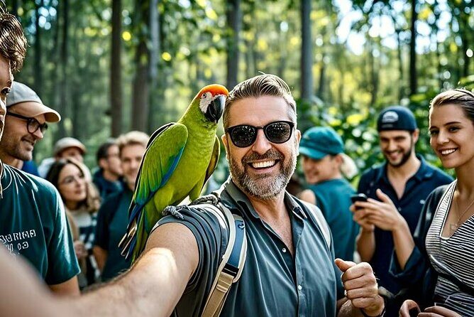 Melbourne Great Ocean Road Reverse Tour + London Bridge wildlife - Authentic Feedback from Travelers