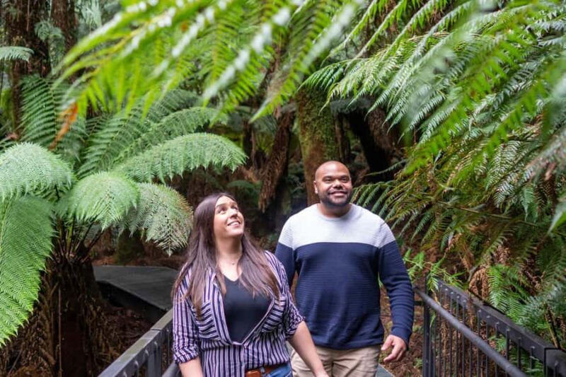 Melbourne: Great Ocean Road Ultimate 12 Apostles with Lunch - FAQs